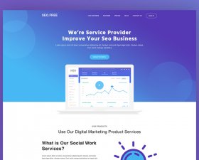 Seo Landing Page Concept