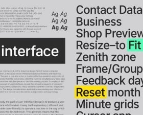 The Interface font family